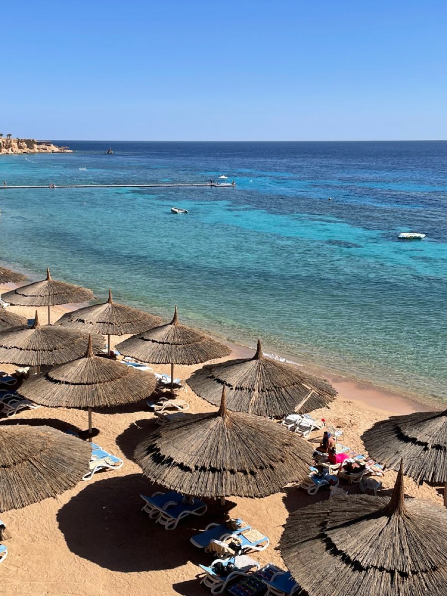 შარმ ელ შეიხი (20 თებერვალი-  27 თებერვალი)