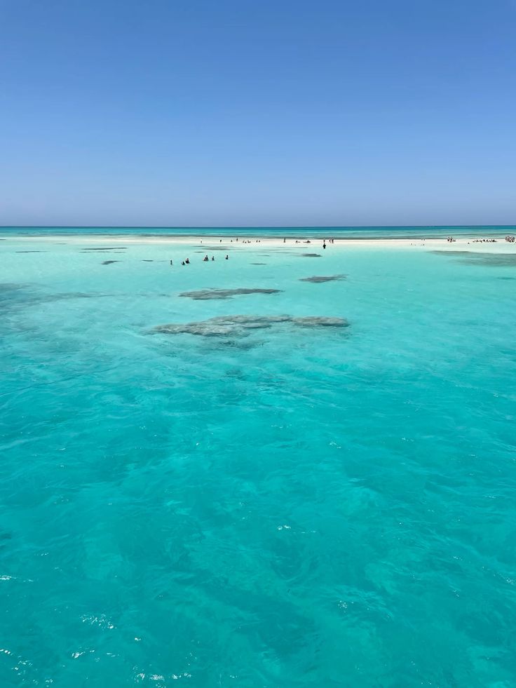 შარმ ელ შეიხი (20 თებერვალი-  27 თებერვალი)