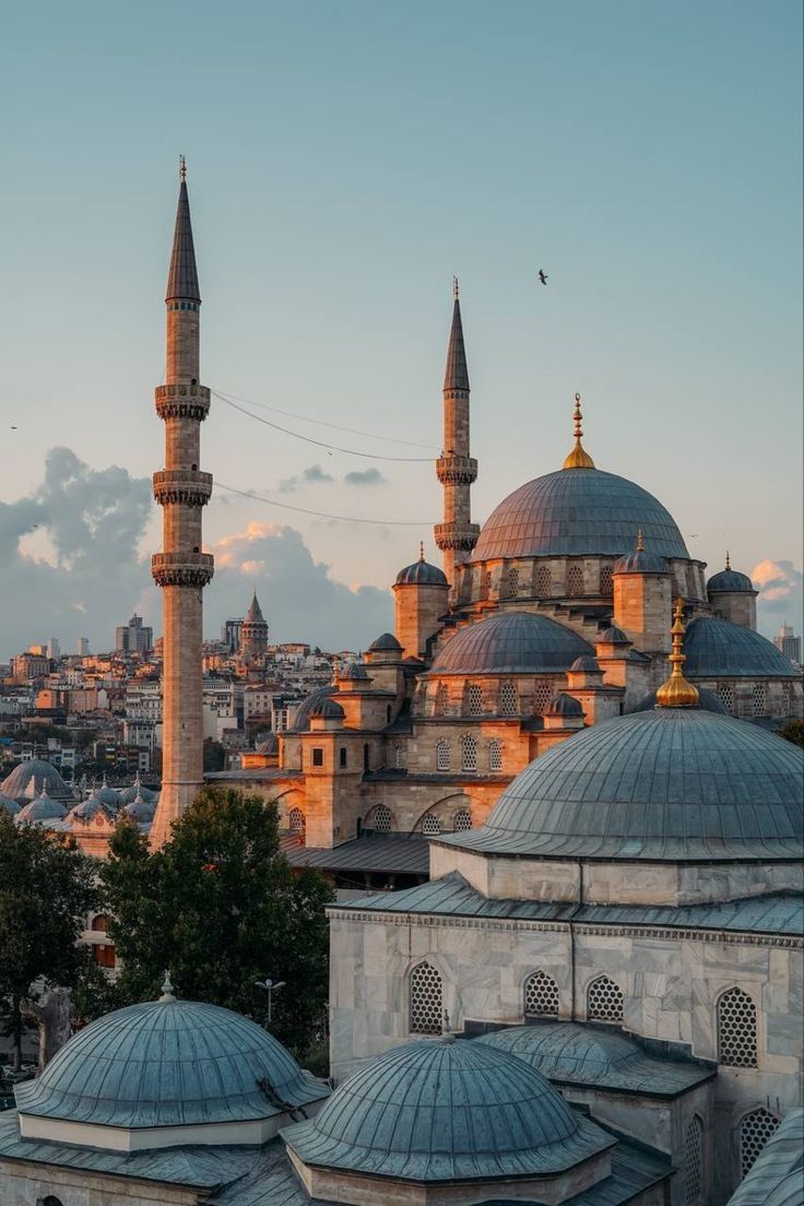 სტამბული (3 დეკემბერი-7 დეკემბერი)