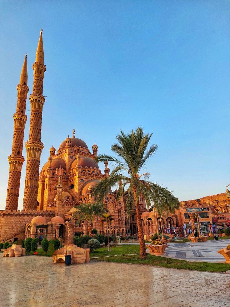 შარმ ელ შეიხი ( 16 იანვარი – 23 იანვარი)