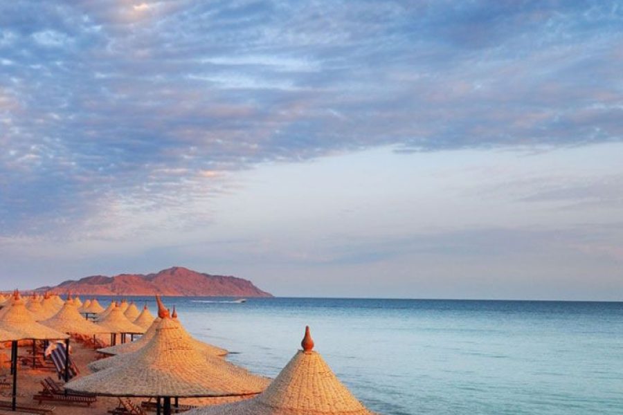 შარმ ელ შეიხი ( 16 იანვარი – 23 იანვარი)