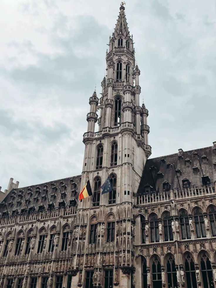 ბრიუსელი (1 თებერვალი – 4 თებერვალი)