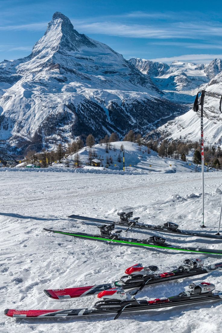 ცერმატი (1 თებერვალი – 6 თებერვალი)