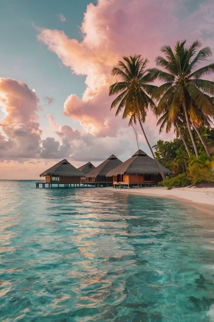 მალდივები (5 მარტი – 10 მარტი)