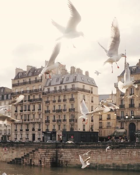 პარიზი (12თებერვალი – 15თებერვალი)