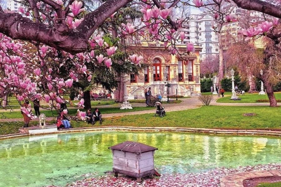 თურქეთი / სტამბოლი (23 აპრილი – 26 აპრილი)