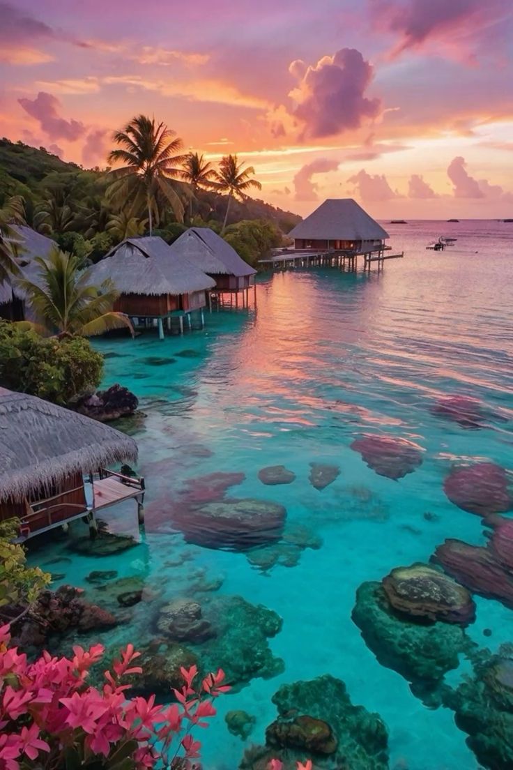 მალდივები (5 მარტი – 10 მარტი)