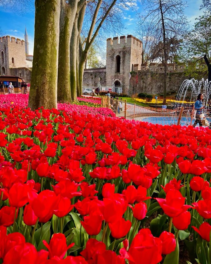 თურქეთი / სტამბოლი (12 აპრილი – 15 აპრილი)