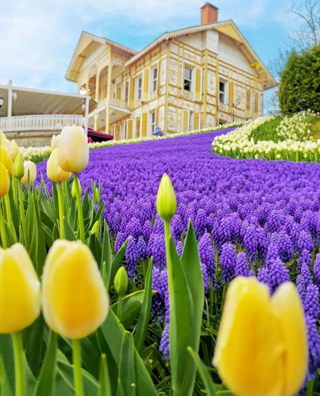 თურქეთი / სტამბოლი (12 აპრილი – 15 აპრილი)