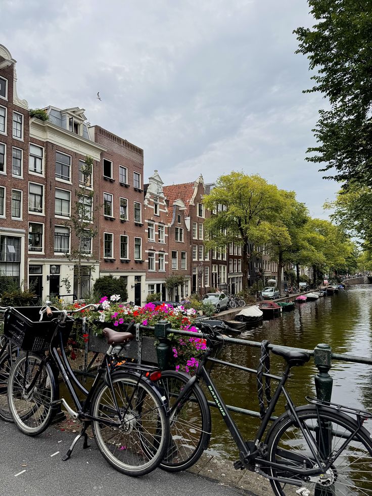 ამსტერდამი (23 აპრილი – 30 პრილი)