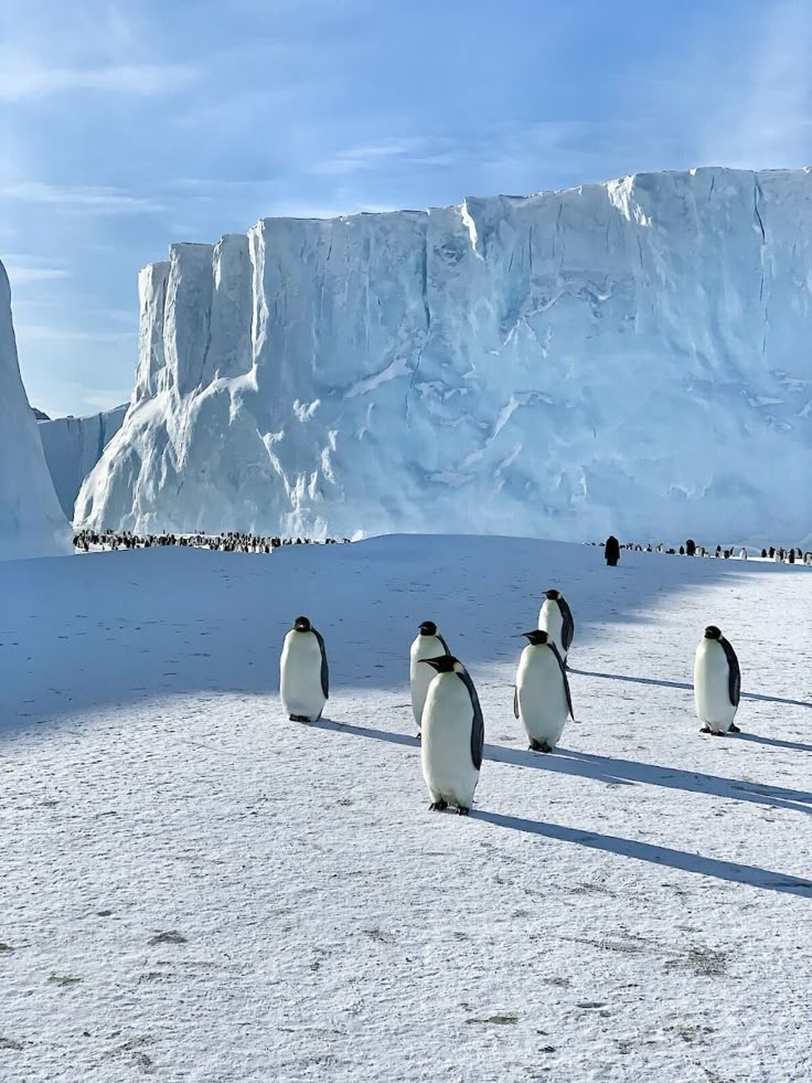 ექსპედიცია ანტარქტიდაზე (20 მარტი – 3 აპრილი)