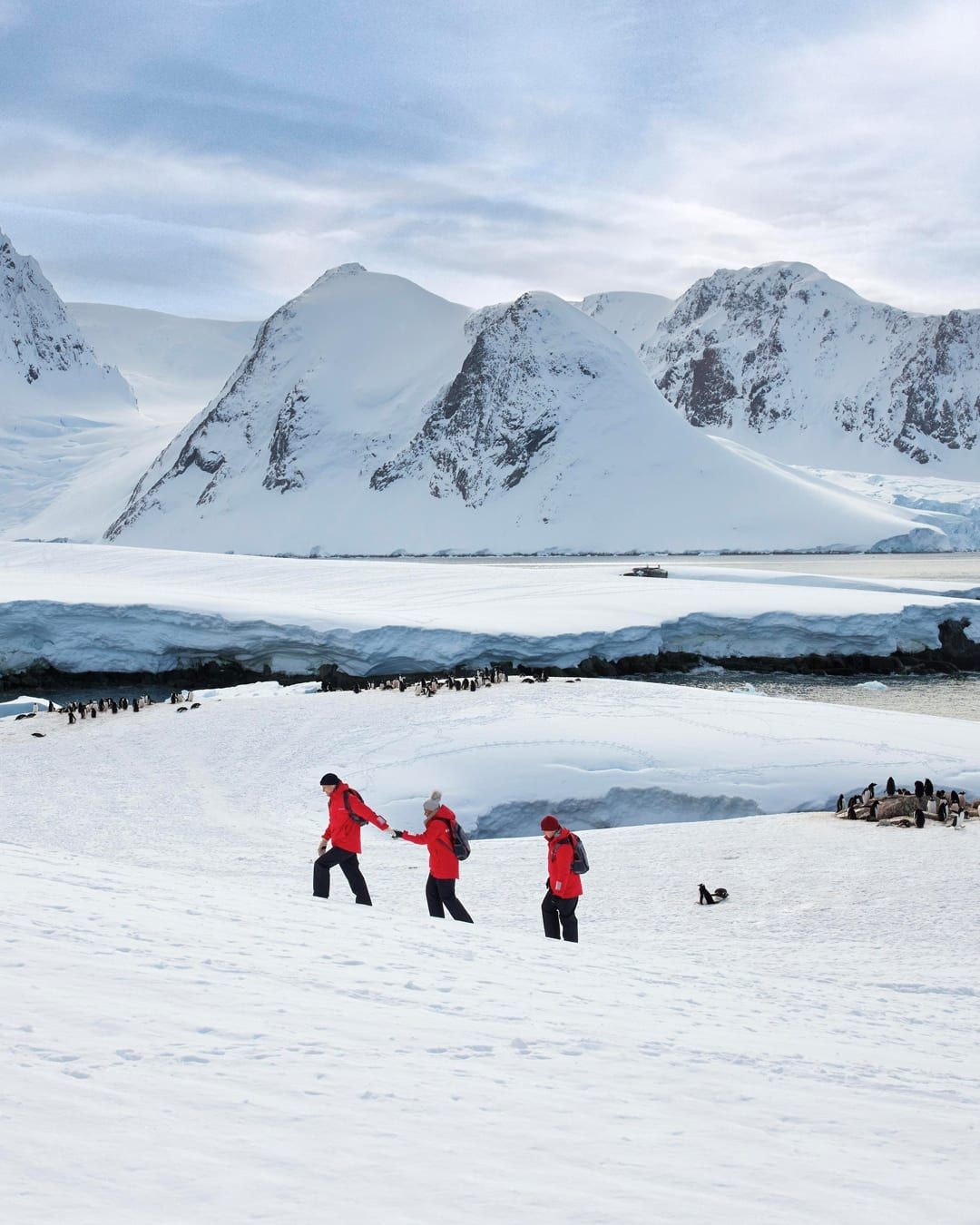 ექსპედიცია ანტარქტიდაზე (20 მარტი – 3 აპრილი)