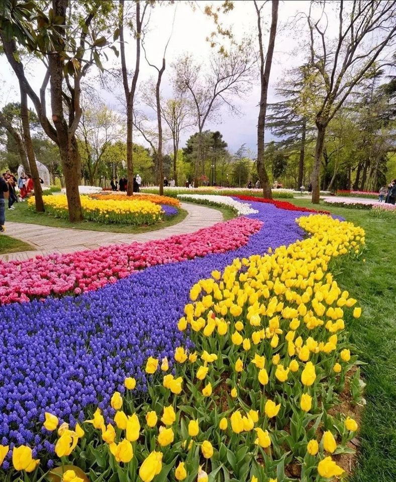 თურქეთი / სტამბოლი (12 აპრილი – 15 აპრილი)