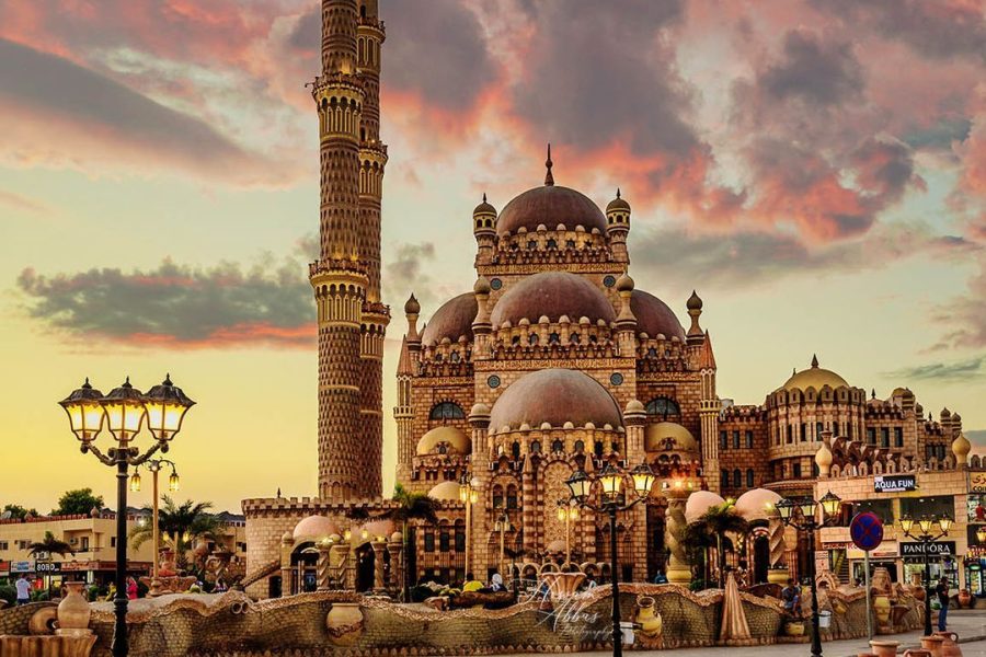 ეგვიპტე / შარმ ელ შეიხი  (10 ივლისი – 17 ივლისი)