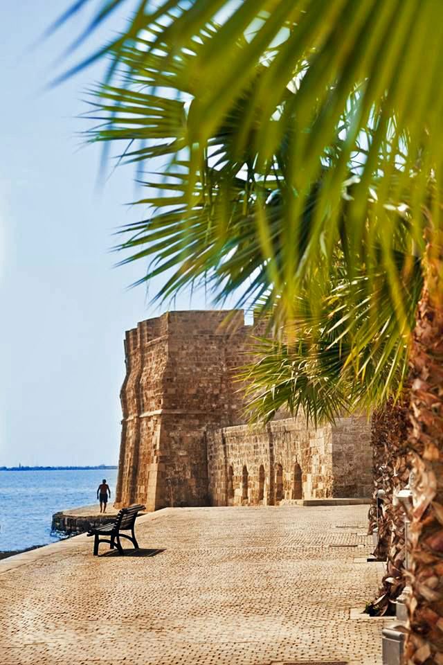 კვიპროსი / ლარნაკა (11 ივლისი – 17 ივლისი)