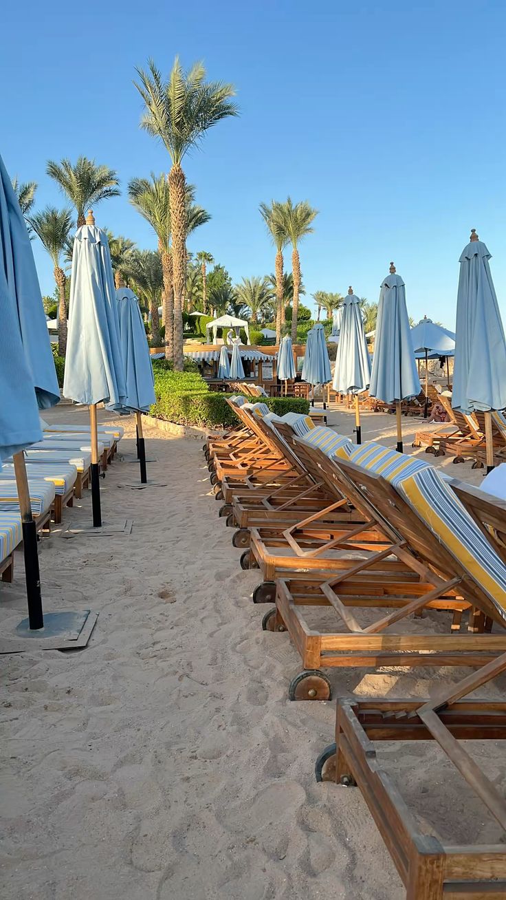 ეგვიპტე / შარმ ელ შეიხი  (10 ივლისი – 17 ივლისი)