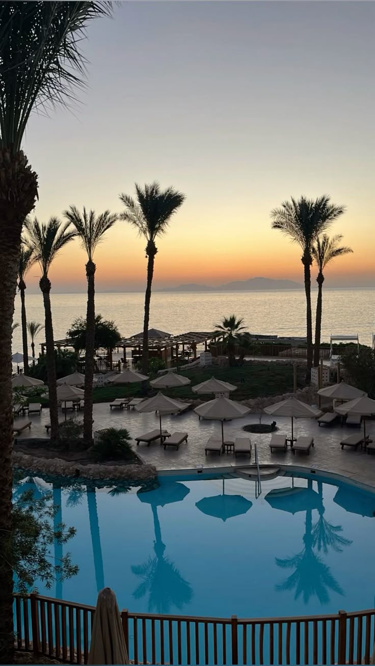 ეგვიპტე / შარმ ელ შეიხი  (10 ივლისი – 17 ივლისი)