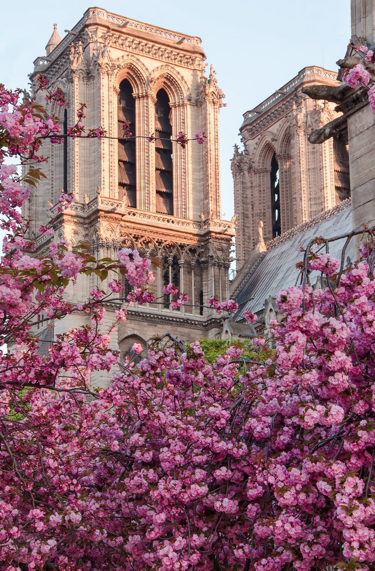 საფრანგეთი / პარიზი (24 აპრილი – 27 აპრილი)