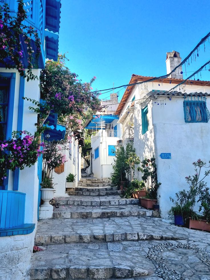 თურქეთი / მარმარისი (7 ივლისი – 14 ივლისი)