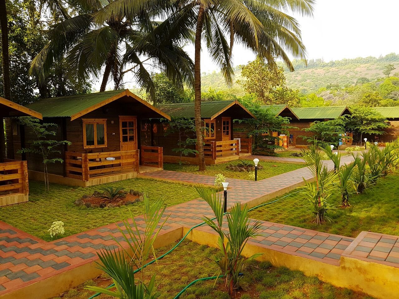 რითრითი გოაზე (27 მარტი – 6 აპრილი)