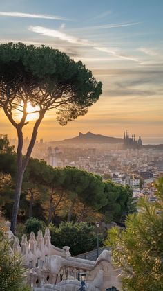 ესპანეთი / ბარსელონა (26 მაისი – 30 მაისი)