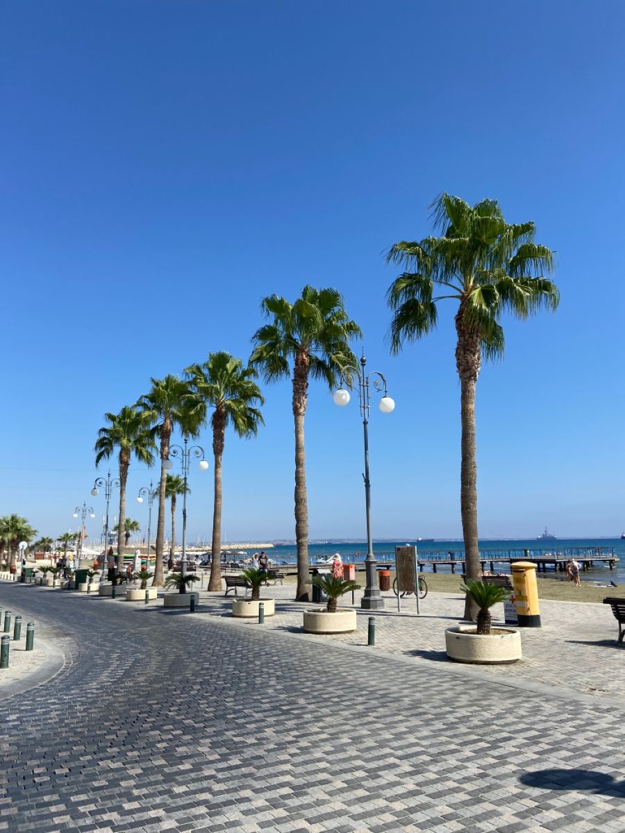 კვიპროსი / ლარნაკა / ჯგუფური ტური (29 ივლისი-5 აგვისტო)